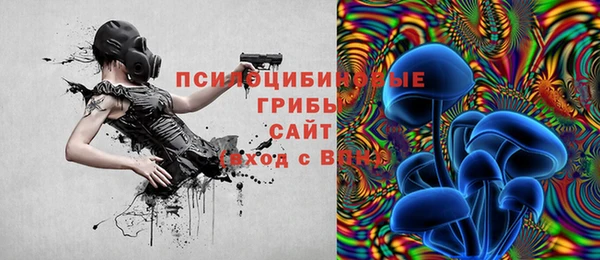 прущие грибы Алзамай