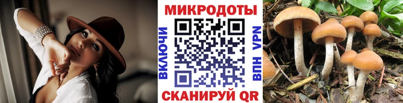 Купить где Всеволожск Псилоцибиновые грибы мицелий