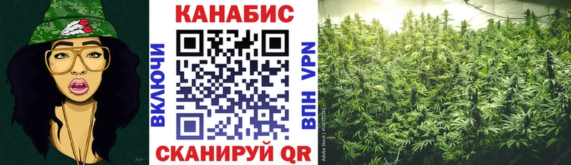 Купить где Всеволожск Марихуана LSD WEED